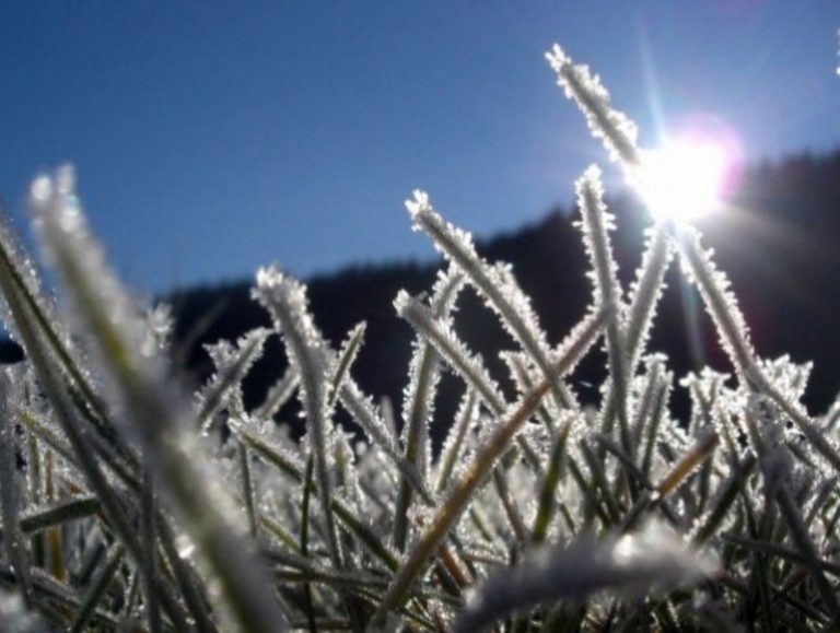 НОЙТОН ЦАС ОРЖ, ТАРИАЛАНГИЙН БҮС НУТГААР ЦОЧИР ХҮЙТЭРЧ БОЛЗОШГҮЙ