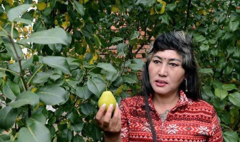 Л.Отгонцэцэг: Би цэцэрлэгт хүрээлэнгээ “Диваажингийн цэцэрлэг” гэж нэрлэдэг