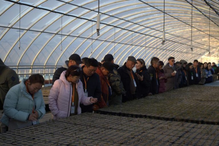 21 аймгийн ойн инженер, ойжуулалтын мэргэжилтнүүд туршлага судаллаа