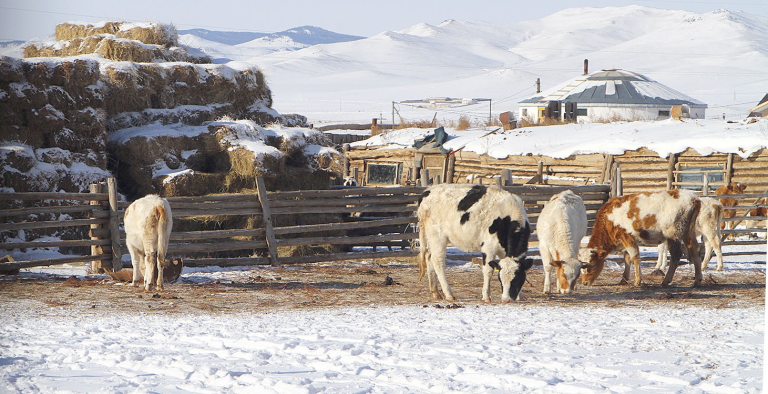 Арваннэгдүгээр сарын цаг агаарын төлөв