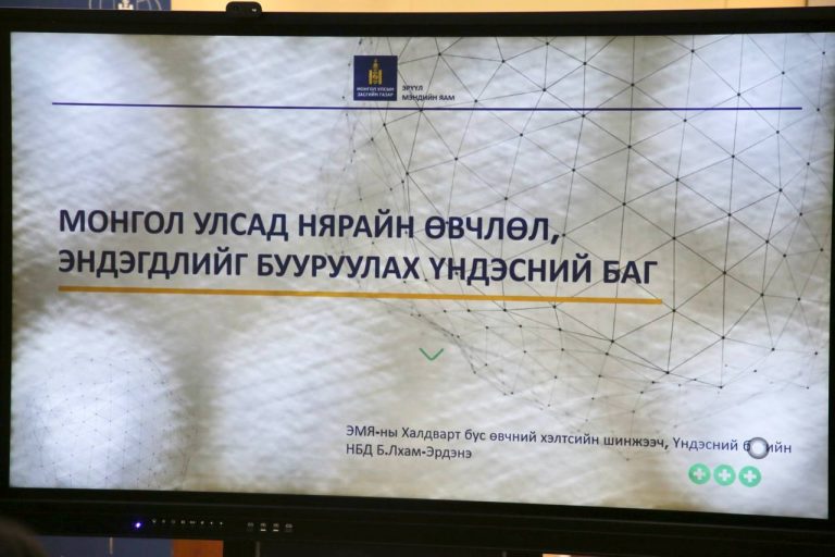 Нярайн өвчлөл, эндэгдлийг бууруулах үндэсний төлөвлөгөөг хэлэлцлээ