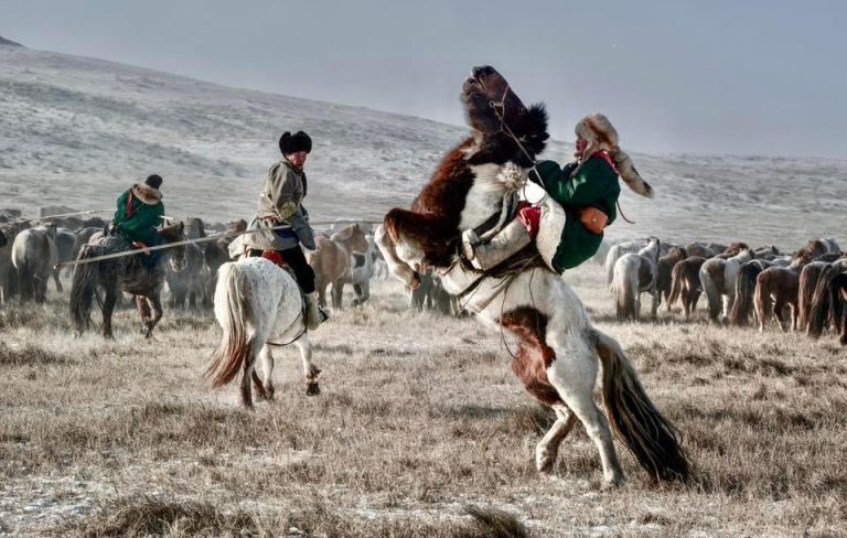 “Талын түмэн адуу” фестиваль Хэнтий аймагт болно