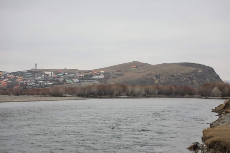 Сонгины ам, Биокомбинат орчмын Туул голын усны сорьцод гэдэсний савханцар илэрчээ