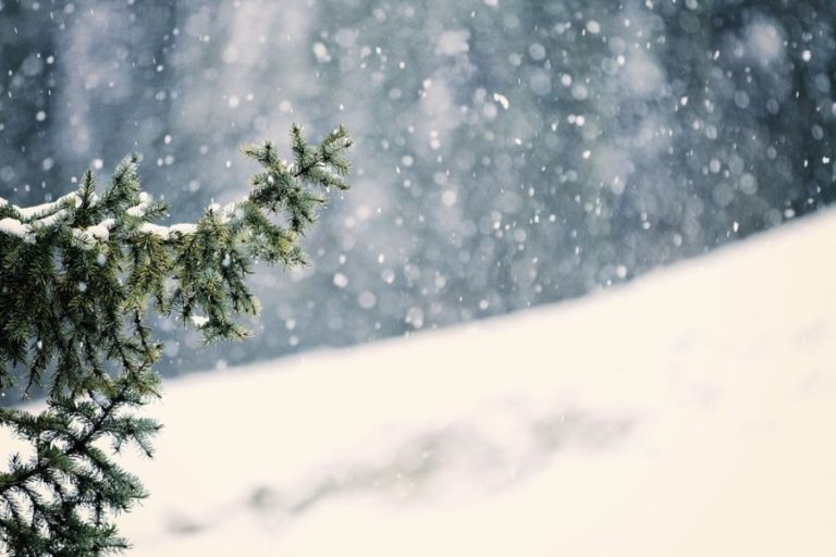 Хэнтийн уулархаг нутаг, Халх голын сав газраар цас орж, цасан шуурга шуурна