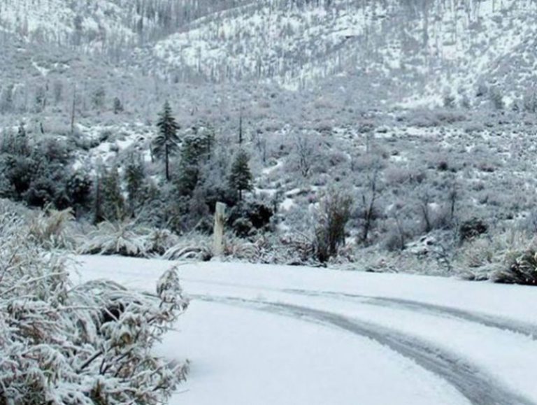 Нэгдүгээр сарын дунд үеэс хүйтний эрч чангарна