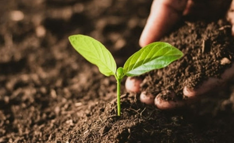 Өнөөдөр дэлхийн хөрсний өдөр