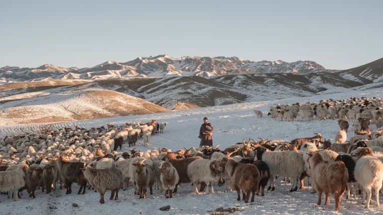 Сарын сүүлээр хүйтний эрч чангарна