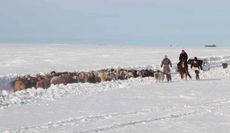 Зудын үнэлгээгээр зургаан аймгийн 23 сум цагаан зудтай байна