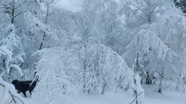 Хөвсгөлийн уулс, Халх голын сав газраар цас орж, бусад нутгаар хүйтэн хэвээр байна