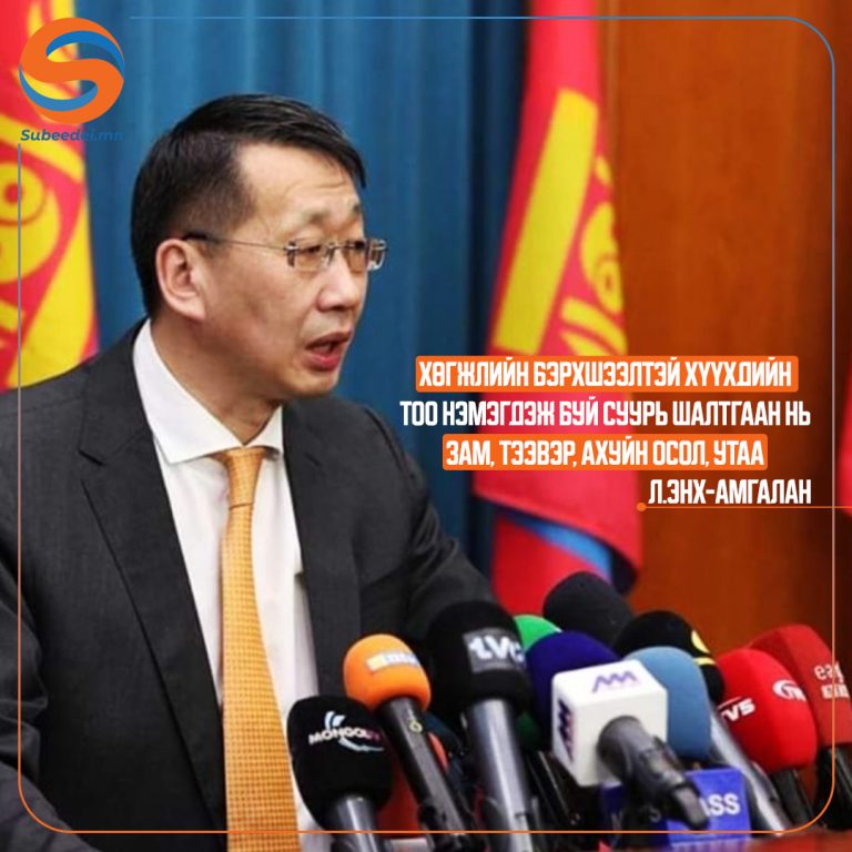 Хүүхдүүд хөгжлийн бэрхшээлтэй болж байгаа суурь шалтгаа нь ахуйн болон зам тээврийн осол, утаа юм.