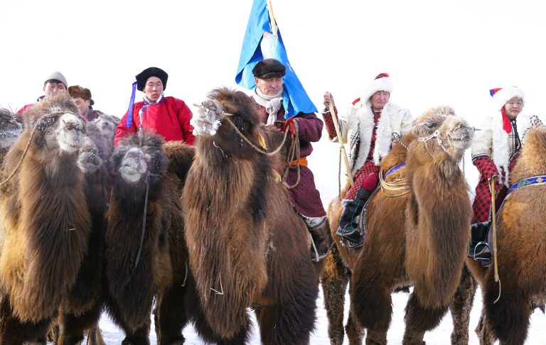 Ховд аймгийн тэмээчдийн анхдугаар зөвлөгөөн амжилттай боллоо
