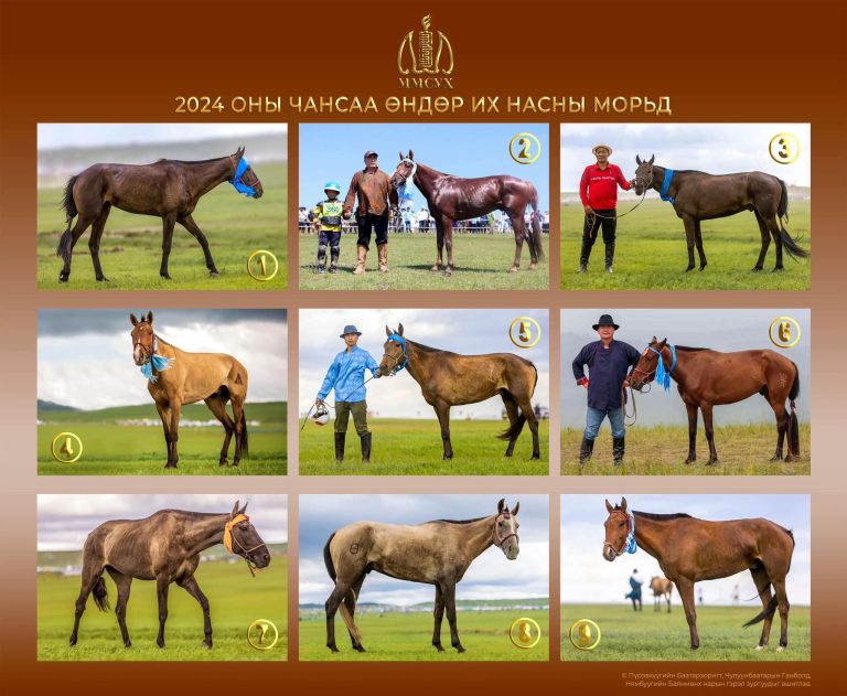 МОНГОЛ УЛСЫН 2024 ОНЫ ЧАНСАА ӨНДӨР ИХ НАСНЫ МОРЬД