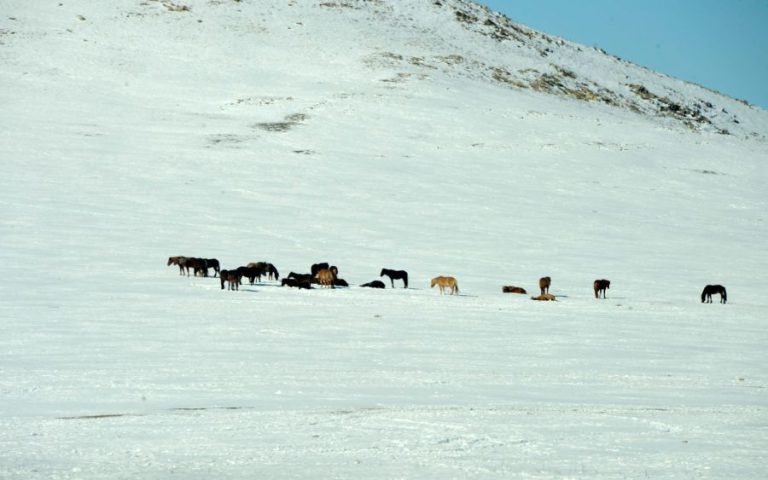 Алтайн салбар уулс, Арц Богдын өвөр хоолойгоор хүчтэй салхи, шороон шуургатай