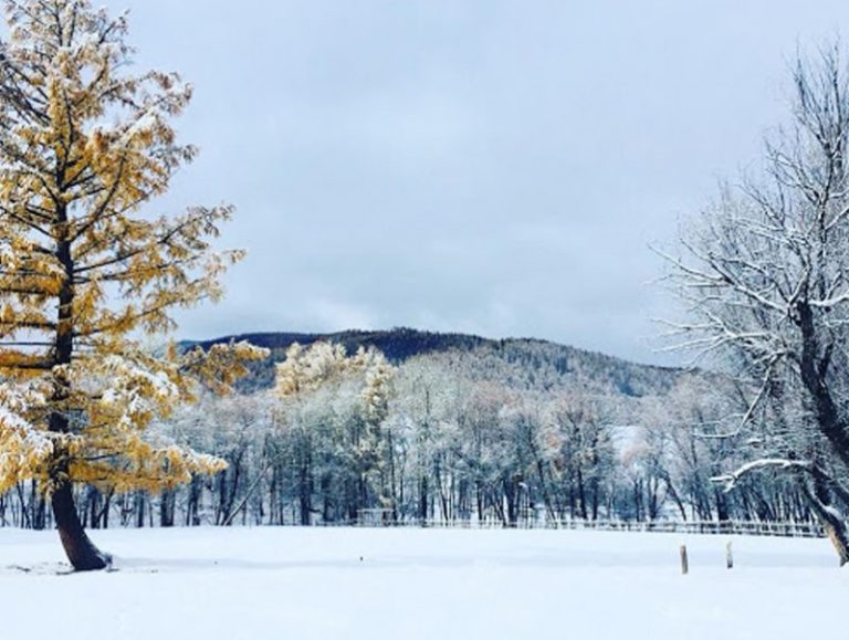 Нийт нутгийн 80 орчим хувьд цастай байна
