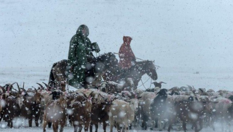 Хүйтний эрч нэмж чангарахыг онцгойлон анхааруулж байна