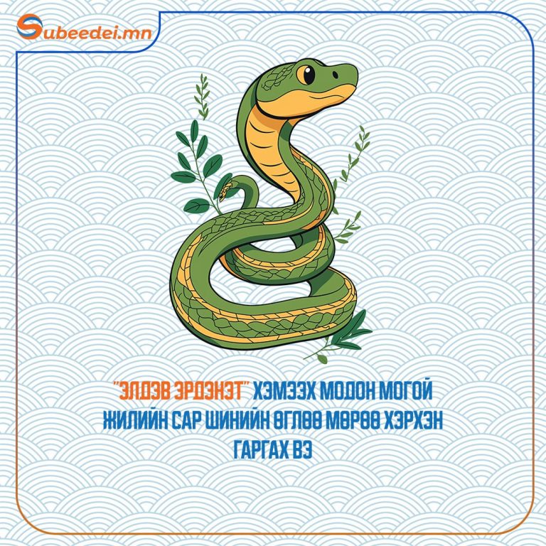 “Элдэв эрдэнэт“ хэмээх модон могой жилийн сар шинийн өглөө мөрөө хэрхэн гаргах вэ