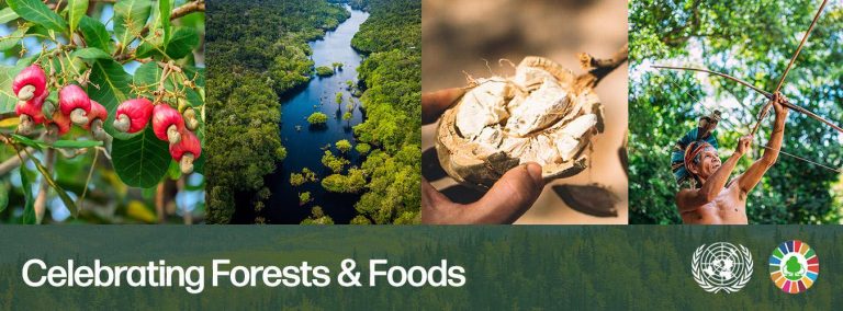 ДЭЛХИЙН ОЙН ӨДӨР ТОХИОЖ БАЙНА