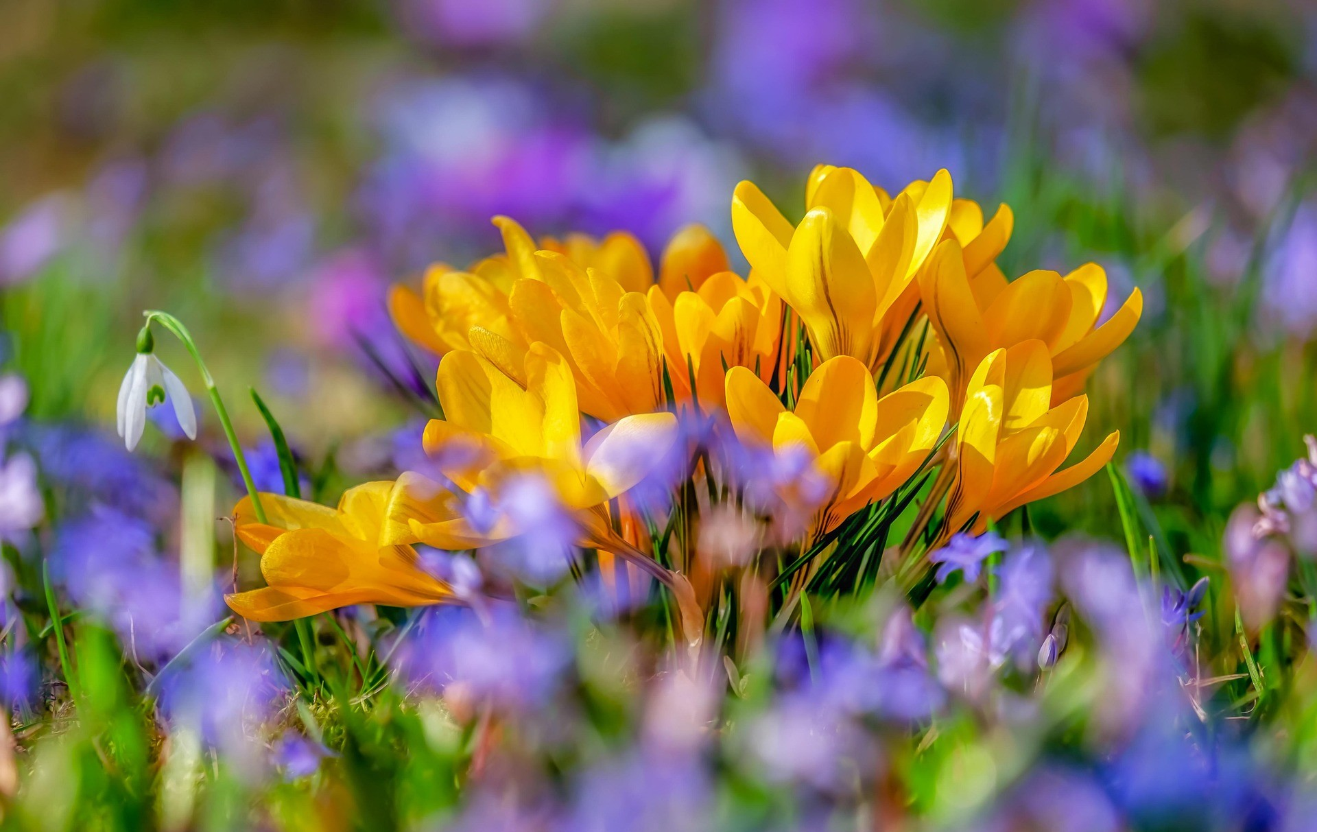 Өвлөөс хаврын улиралд шилжих үед юуг анхаарах вэ?