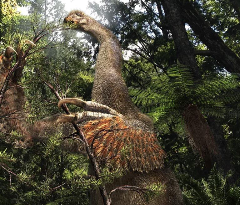 Монголын говиос шинэ төрлийн үлэг гүрвэлийн олдвор олдлоо