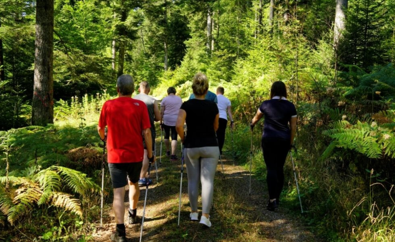Байгальд 1 цаг алхахад анхаарал төвлөрөл 20% хүртэл сайжирдаг