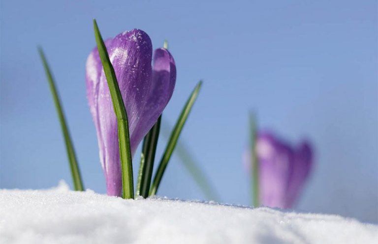 Өнөөдөр ханш нээх өдөр