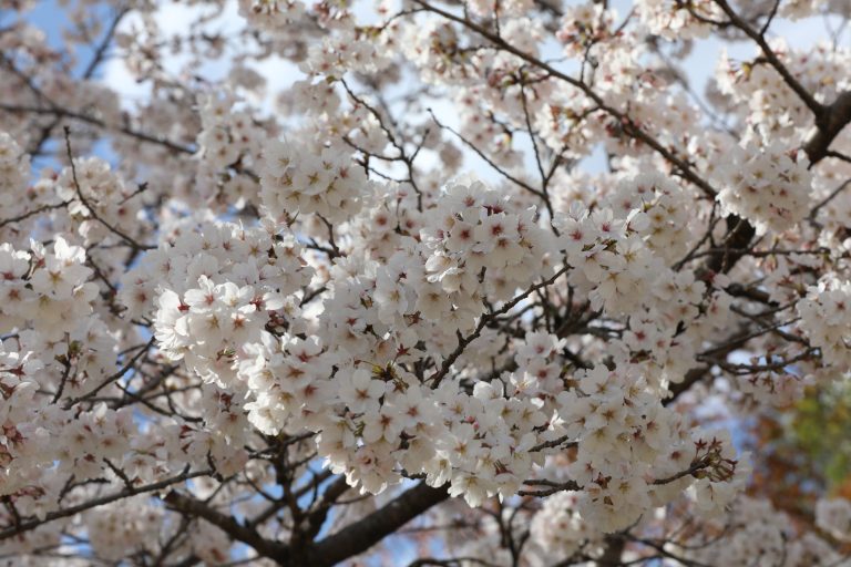 Ихэнх нутгаар дулаарна