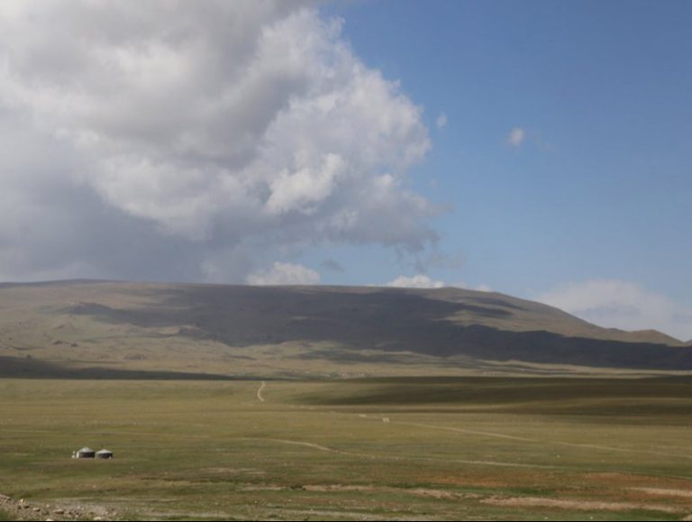 Бэлчээрийн ургамлын ургалт нийт нутгийн 80 орчим хувьд цухуйгаагүй байна