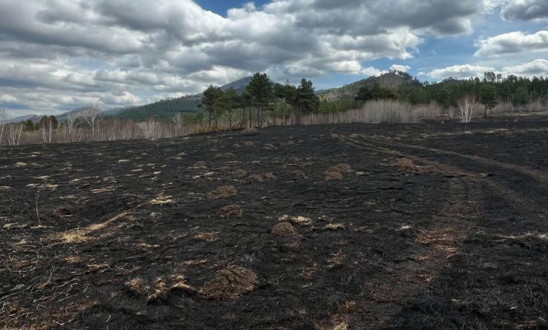Хэнтий аймгийн Норовлин суманд гарсан ойн түймрийг бүрэн унтраалаа