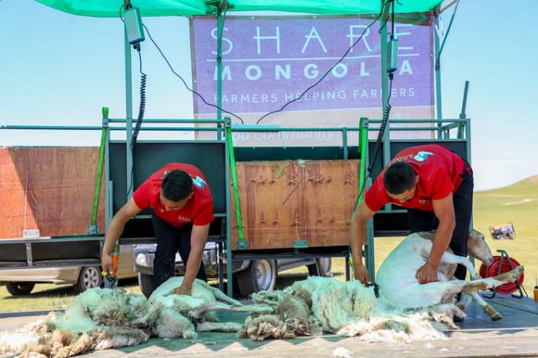 Хонь ноослох улсын аварга шалгаруулах анхдугаар тэмцээн Төв аймагт болно