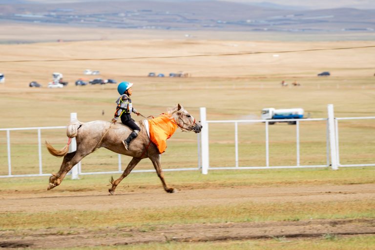 Д.Саграадоржийн буурал, бунд зүсмийн азарга түрүүллээ