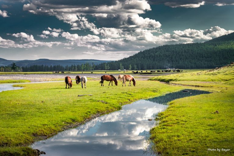 Нутгийн баруун хойд хэсгээр бороотой, өмнөд болон төв хэсгээр хална