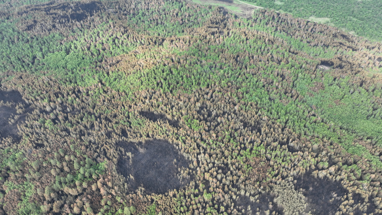 Ой, хээрийн гал түймэр бүртгэгдсэн нь өнгөрсөн оны мөн үетэй харьцуулахад 50.3 хувиар өсжээ