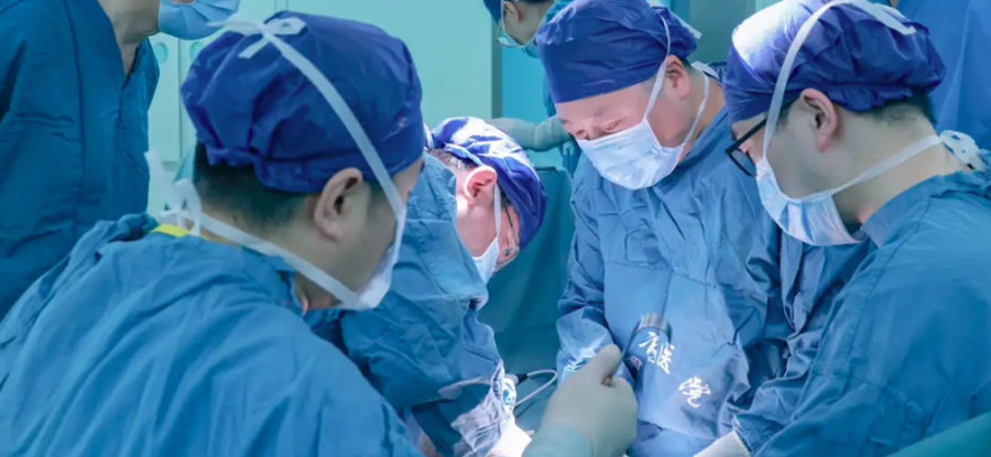 Гахайны уушгийг хүнд шилжүүлэн суулгажээ