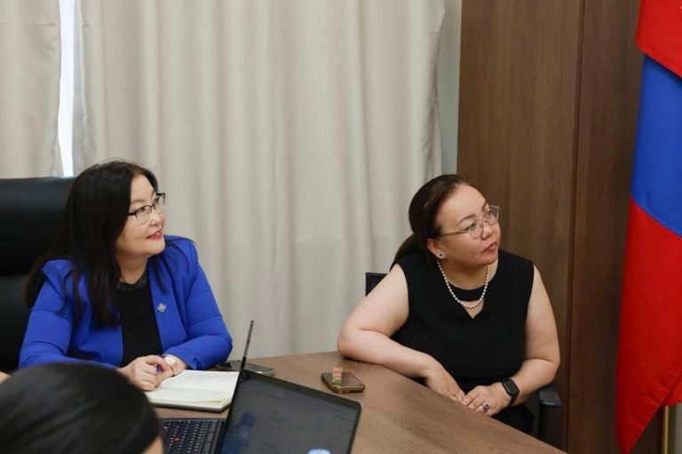 Эрчим хүчний хуулийн ажлын хэсгийн дэргэдэх гүйцэтгэх багийн ажил үргэлжилж байна