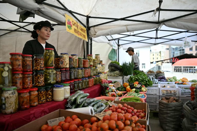 “Алтан намар-2025” өргөтгөсөн худалдаагаар бүх төрлийн ногоог хямд үнээр борлуулж байна