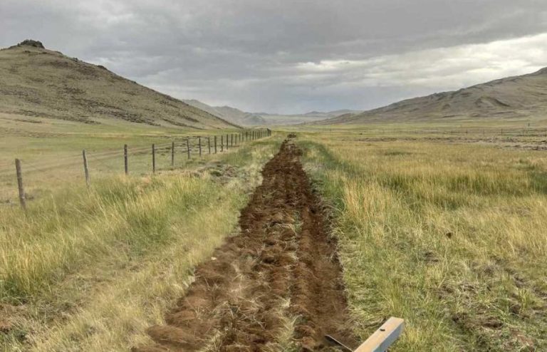 Хил дамнасан түймрээс урьдчилан сэргийлж байна