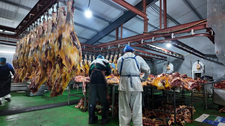 Баян-Өлгий аймгийн 5 мах бэлтгэх  үйлдвэр 381.6 тонн мах экспортод гаргажээ