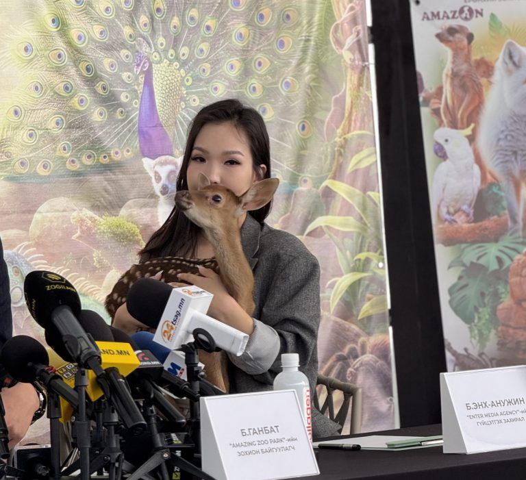 400 гаруй амьтдыг хамгийн ойроос харж, хүрч үзэх боломжтой өдөрлөг энэ амралтын өдрүүдээр…