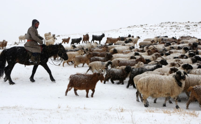 Ирэх арваннэгдүгээр сард төв, зүүн, говийн аймгуудын нутгаар олон жилийн дунджаас хүйтэн байна