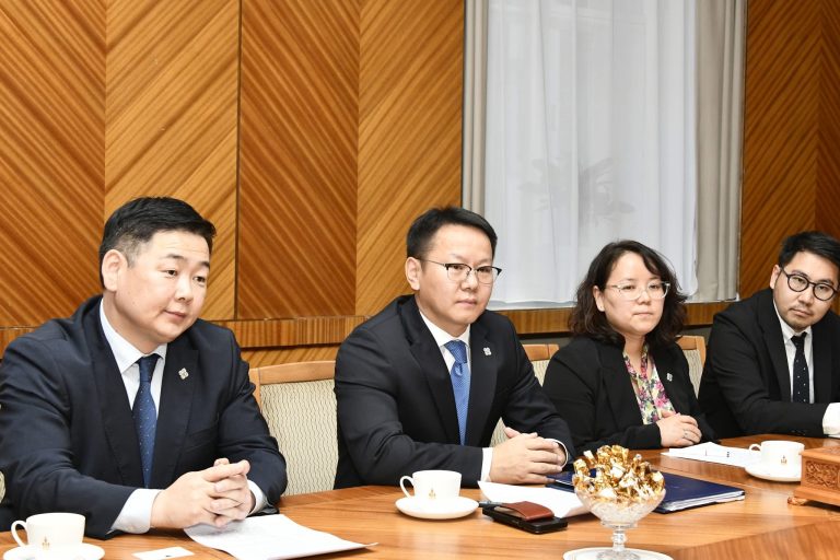 Герман-Төв Азийн парламентын бүлгийн дэд даргатай уулзлаа