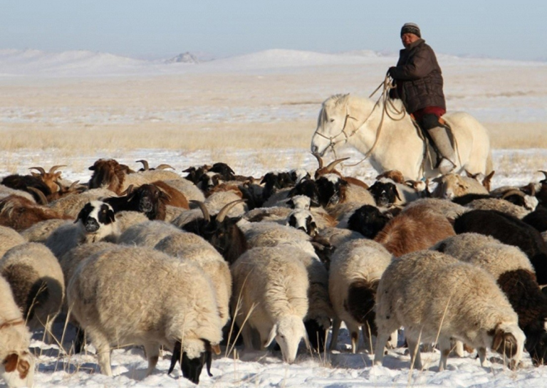 Мал тууж яваад сураггүй болсон иргэнийг эсэн мэнд олж, ар гэрт нь хүлээлгэн өгчээ