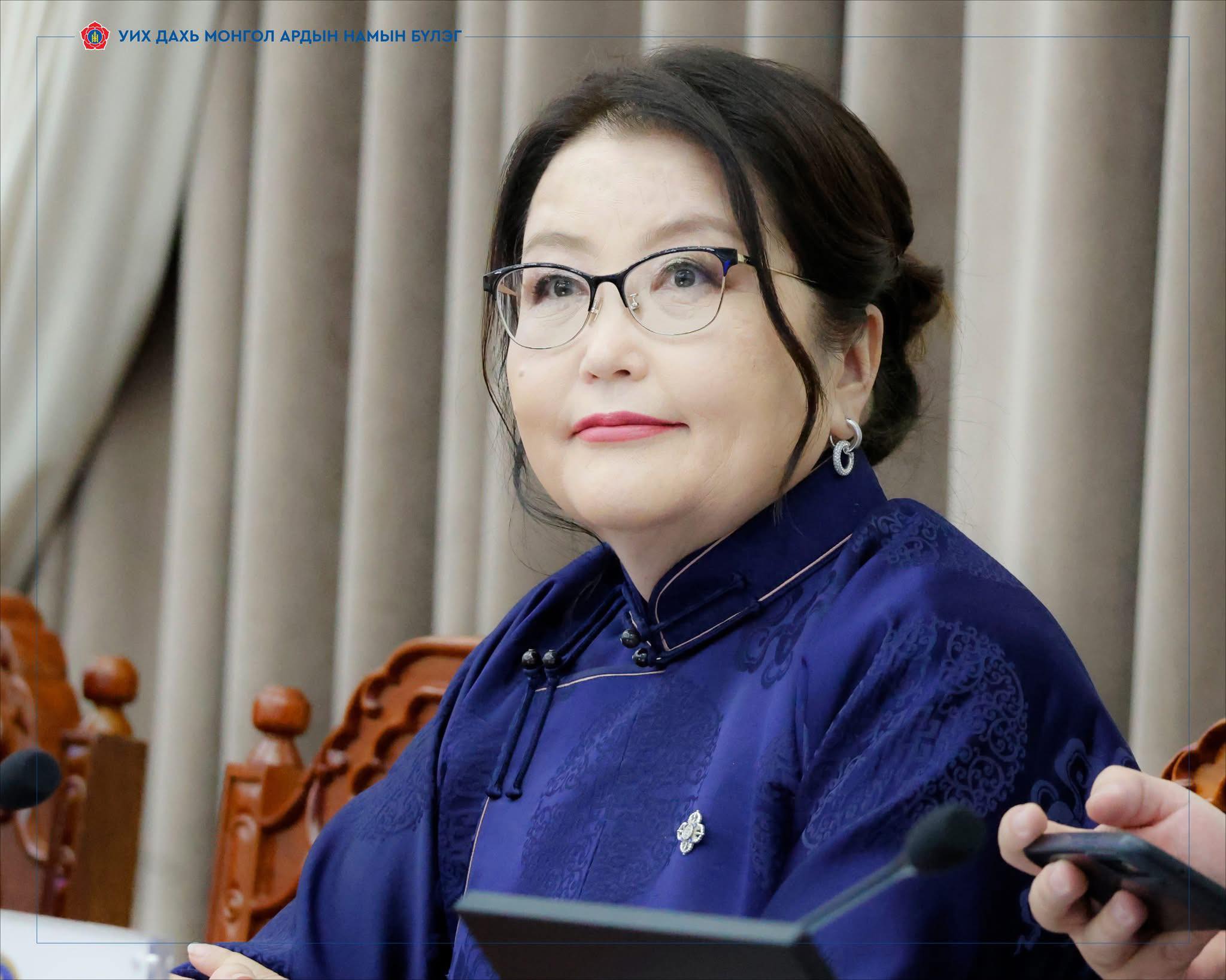 М.Энхцэцэг: Нэг зөрчил дээр нэг л хариуцлага хүлээдэг хуулийн суурь зарчим бий