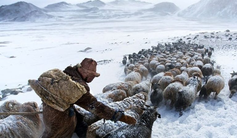 Баян-Өлгий, Увс, Ховдын ихэнх нутгаар зудын эрсдэл үүсэх төлөвтэй байна