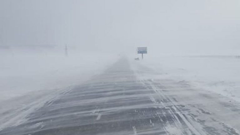 Төөрсөн, сураггүй алга болсон 3 удаагийн дуудлага бүртгэгдэж, эрлийн ажиллагааг зохион байгууллаа