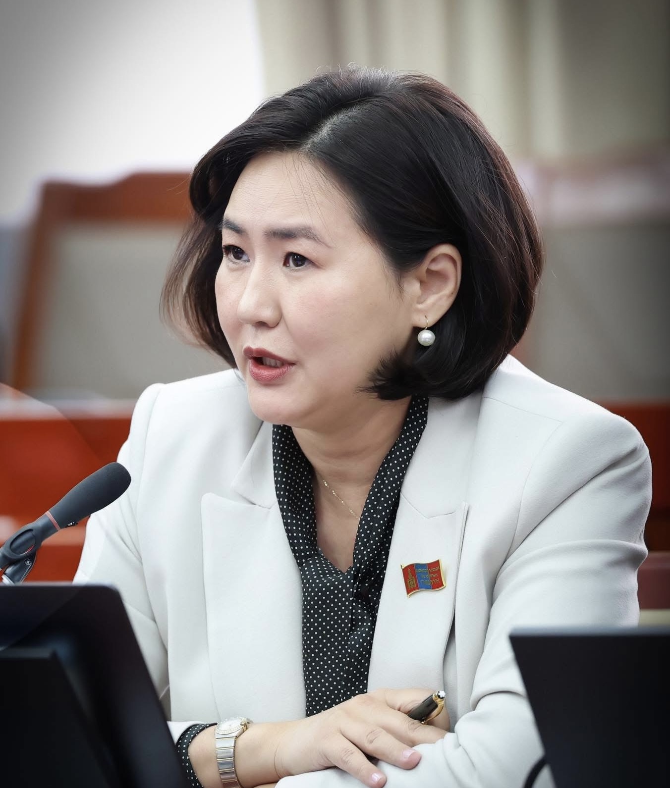 Б.Пунсалмаа: Анхдугаар Үндсэн хуулиа баталсан түүхт өдрийн мэндийг Монголын ард түмэнд өргөн дэвшүүлье