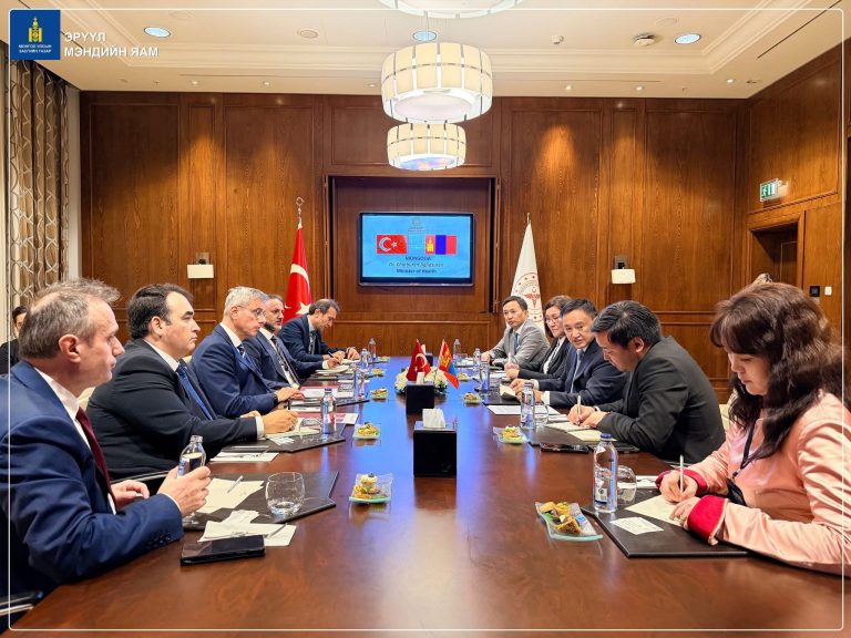 Өрх, сумын эрүүл мэндийн төвийн эмч сувилагчдыг Турк Улсад мэргэжил дээшлүүлнэ