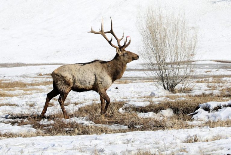 Ихэнх нутгаар цаг агаар тогтуун байна