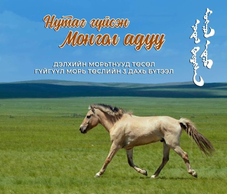 “Дэлхийн морьтнууд” төсөл олон улсын наадмуудаас шилдэг бүтээлийн шагнал хүртжээ