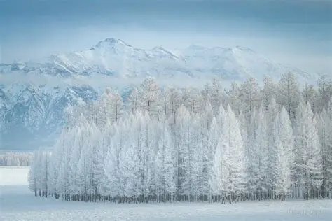 Өвлийн саруудад төв болон зүүн аймгуудын нутгаар цас ахиу орох хандлагатай байна