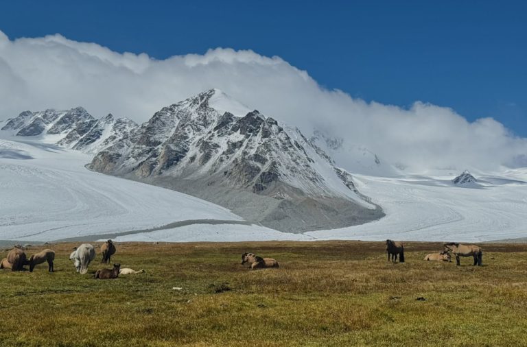 Олон улсын уулын өдөр тохиож байна